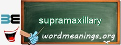 WordMeaning blackboard for supramaxillary